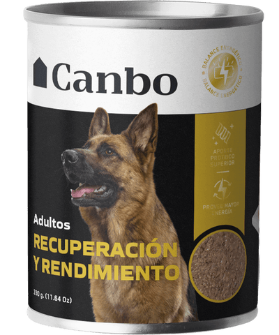 Canbo Paté Recuperación y Rendimiento, adultos – lata frontal