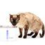 Viva™ Pet Fountain