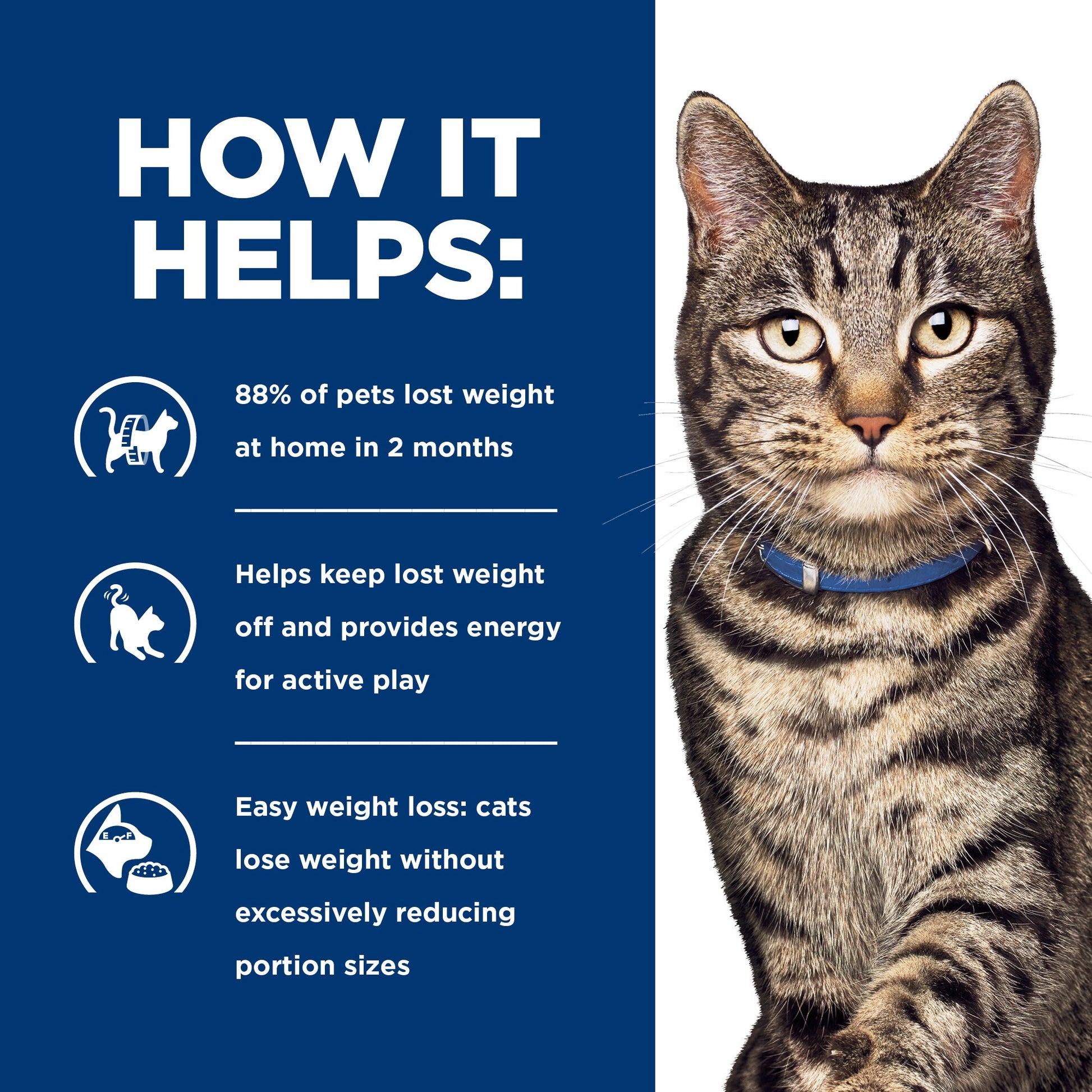 Hill's Prescription Diet Metabolic Stew Cat