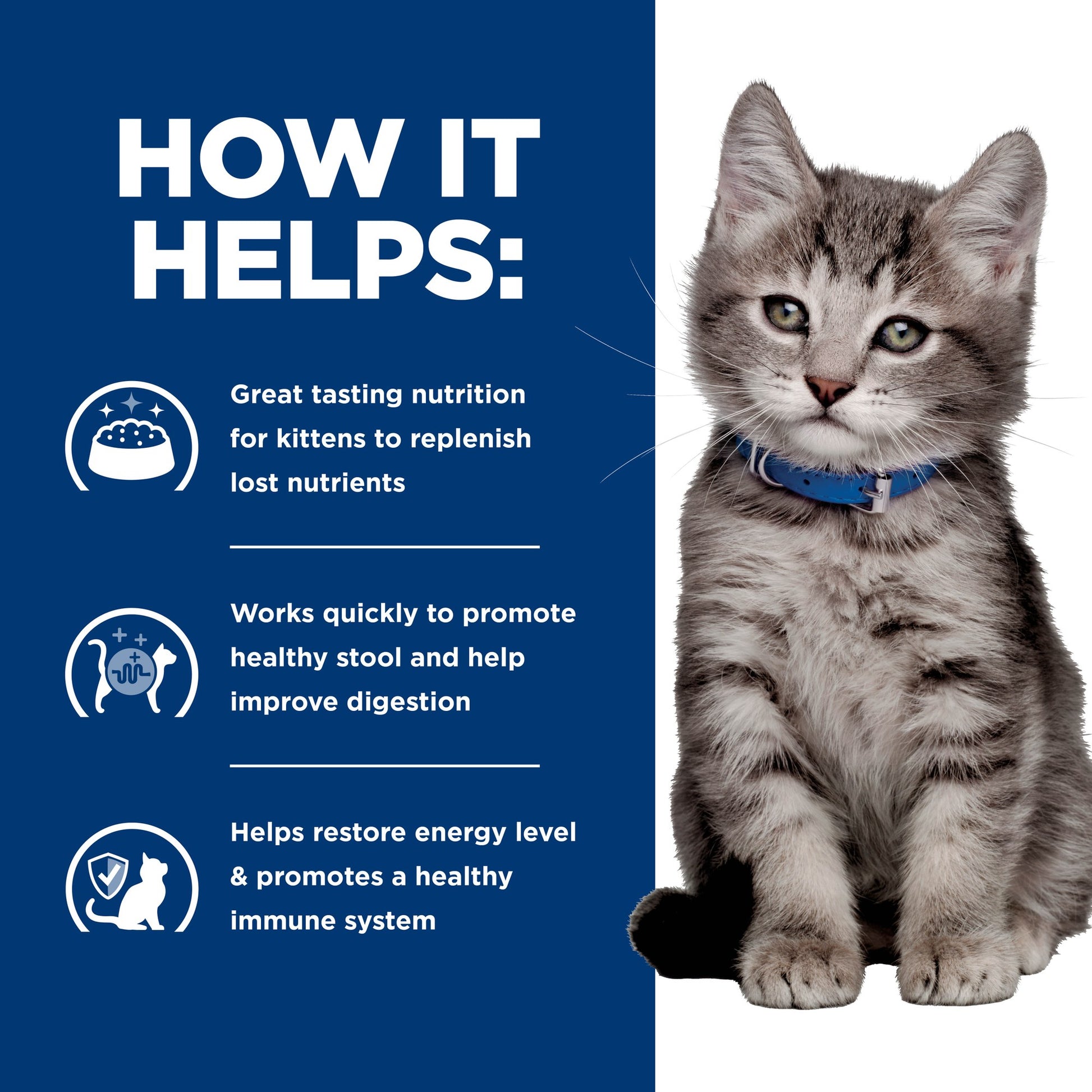 Hill's Prescription Diet i/d Kitten Pate