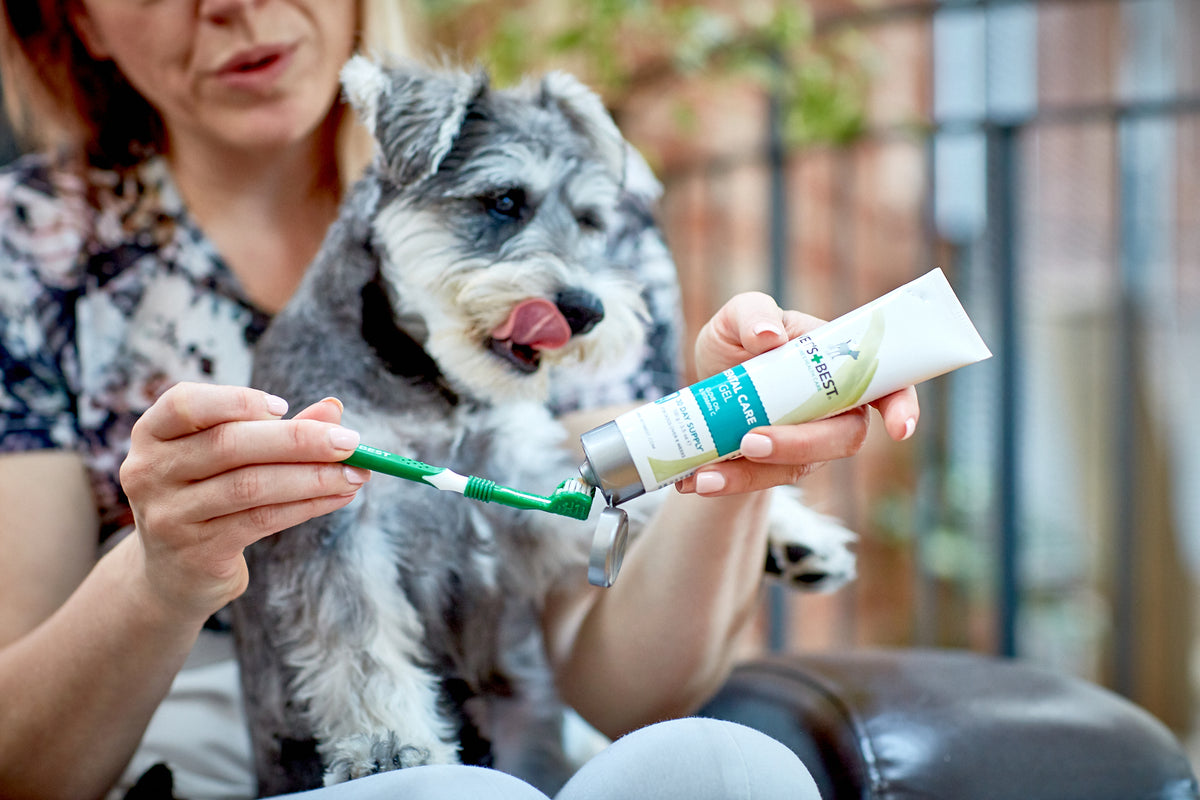 Vet's Best Dental Gel — en uso 2
