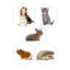 Beaphar Lactol Feeding Set — imagen 2