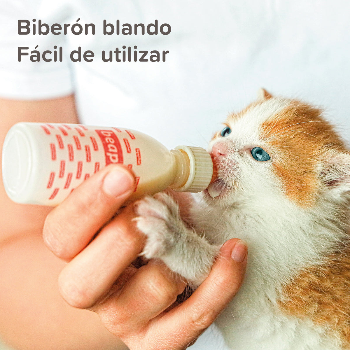 Beaphar Lactol Feeding Set — imagen 3