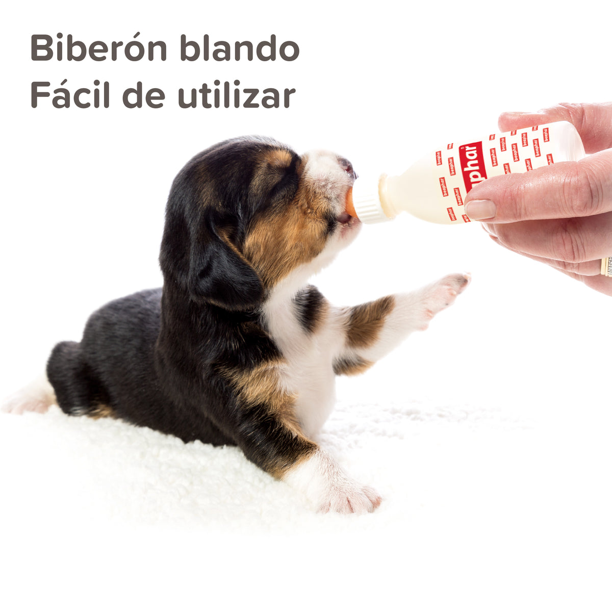 Beaphar Lactol Feeding Set — imagen 4