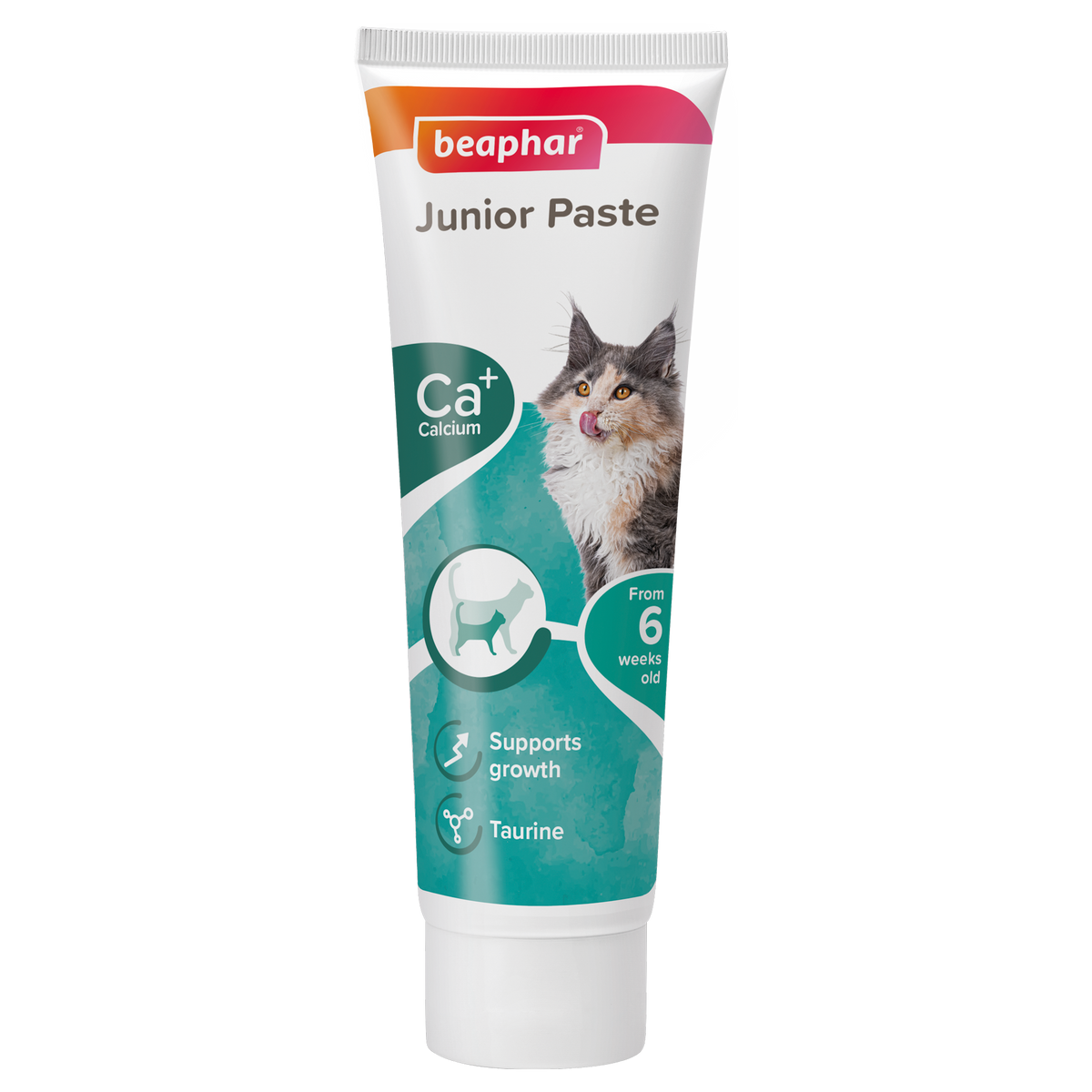 Beaphar | Junior Paste Kitten