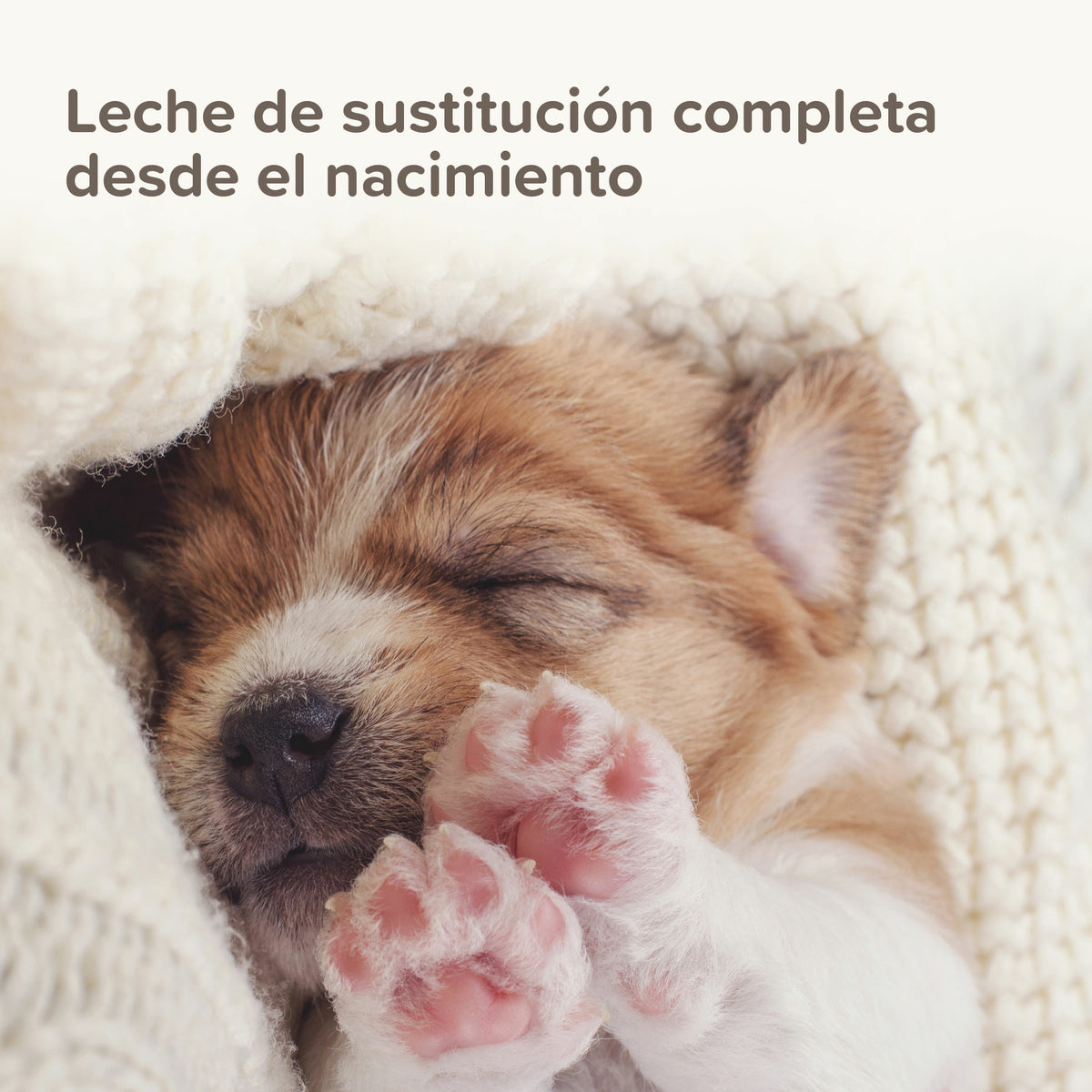 Beaphar Lactol Puppy Milk Powder — imagen 6