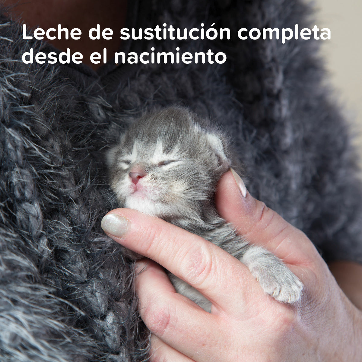 Beaphar Lactol Kitten Milk — imagen 6