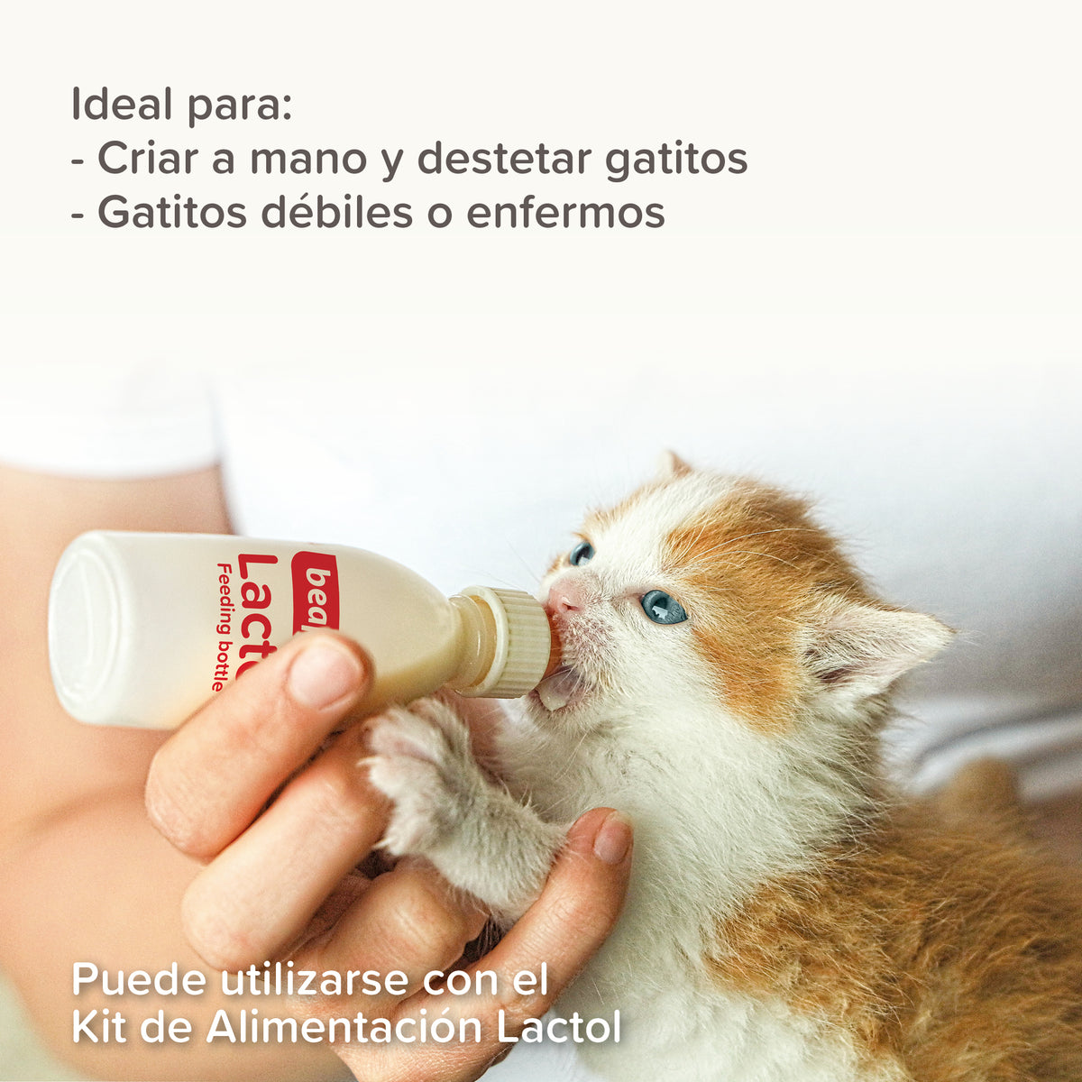Beaphar Lactol Kitten Milk — imagen 7