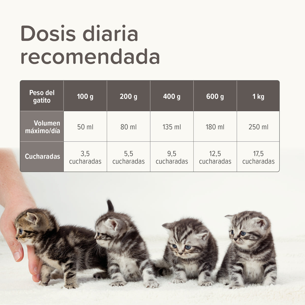 Beaphar Lactol Kitten Milk — imagen 8