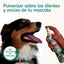 Beaphar Fresh Breath Spray — imagen 8