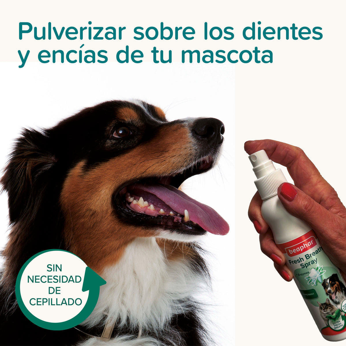Beaphar Fresh Breath Spray — imagen 8