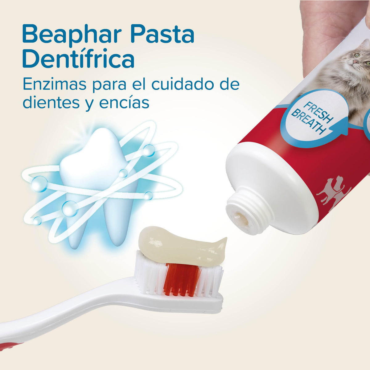 Beaphar Toothpaste — imagen 2