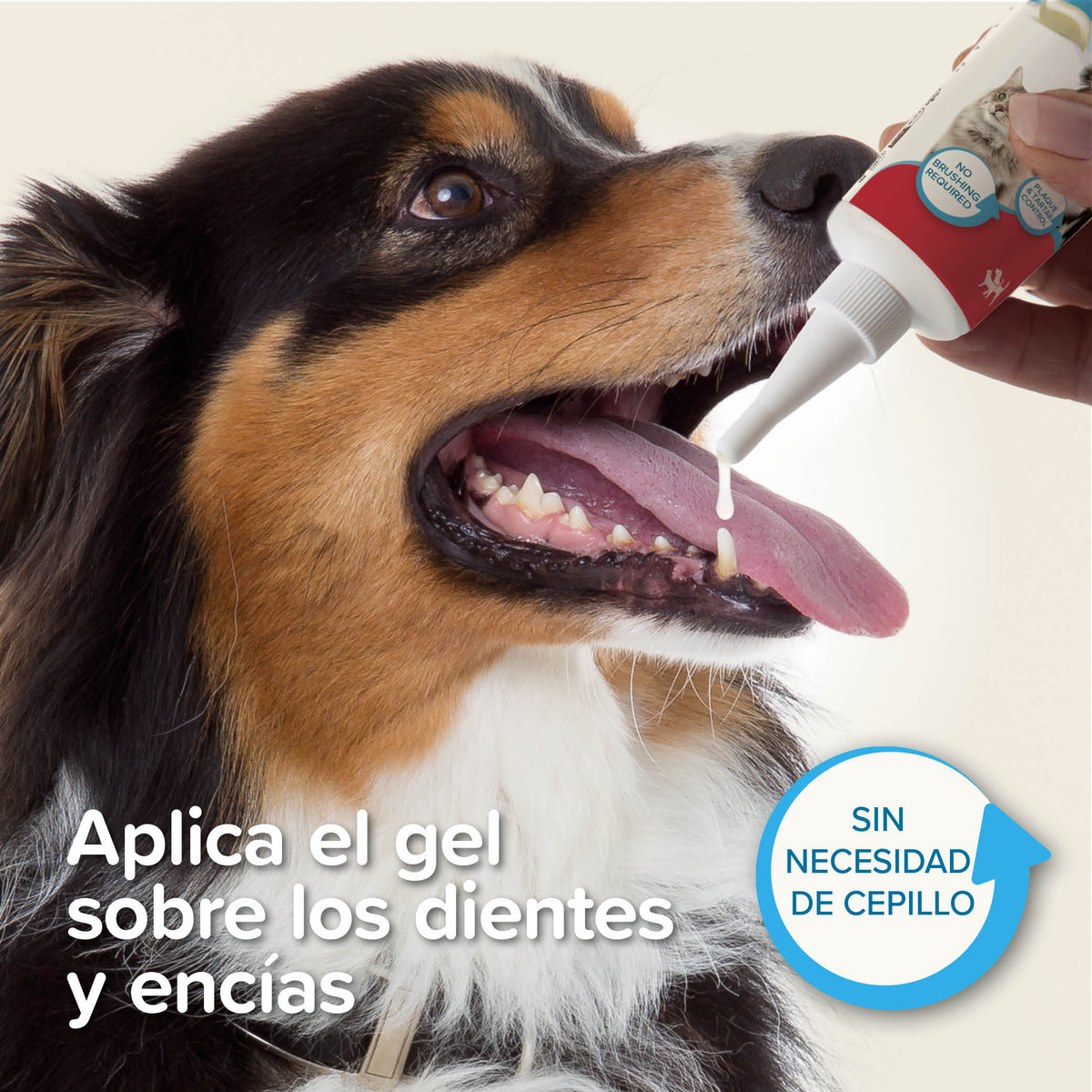 Beaphar Dental Gel — imagen 4