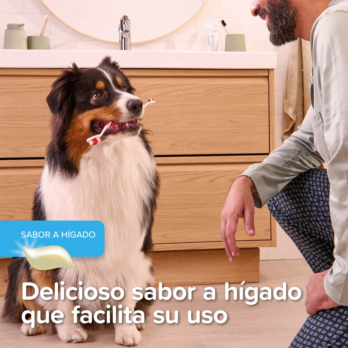 Beaphar Dental Gel — imagen 6