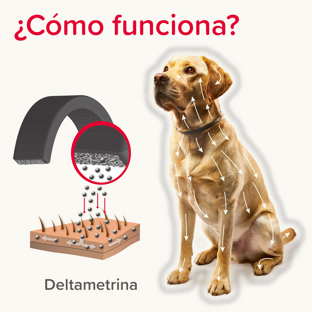 Beaphar Collar Canishield Large Dog — imagen 3