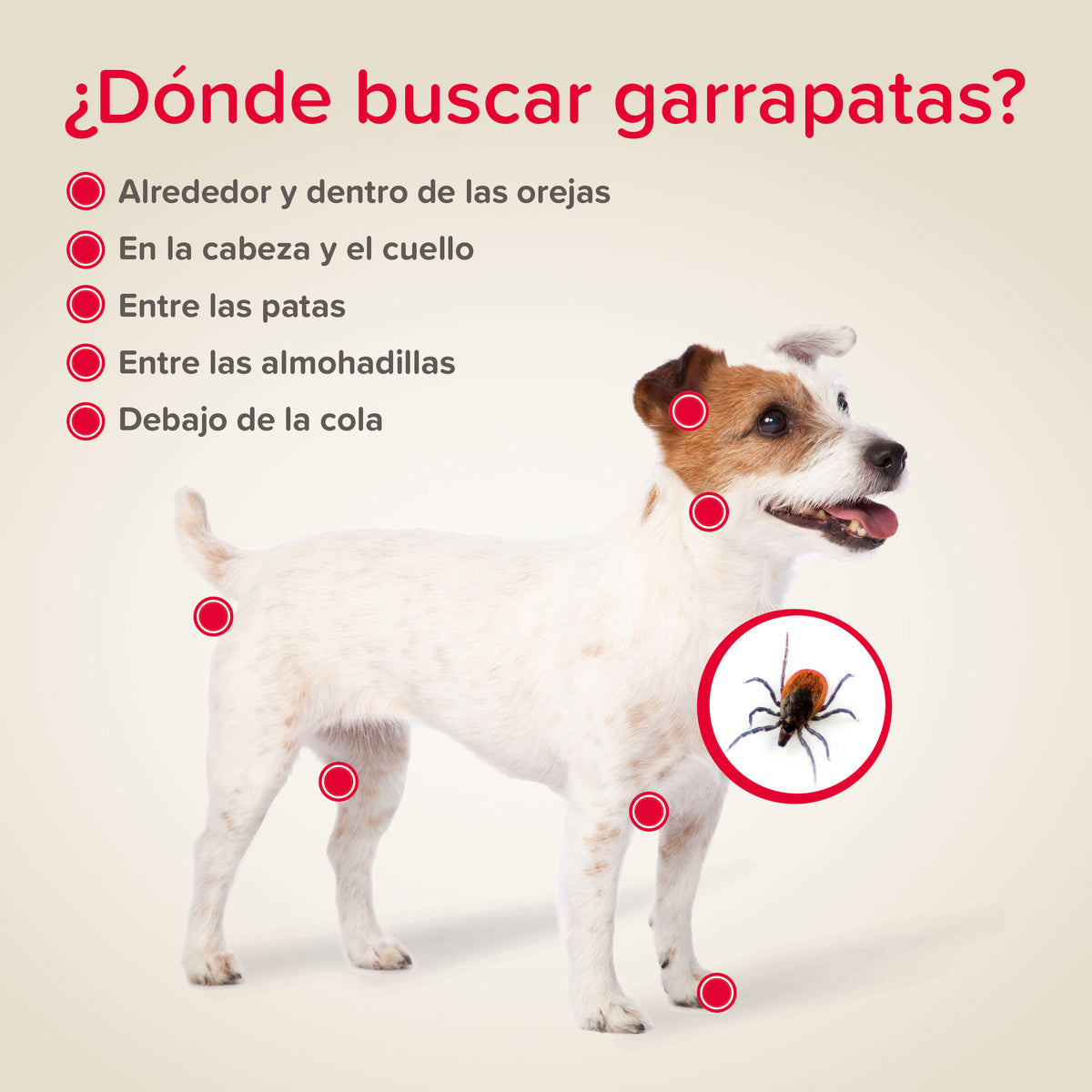 Beaphar Collar Canishield Large Dog — imagen 4