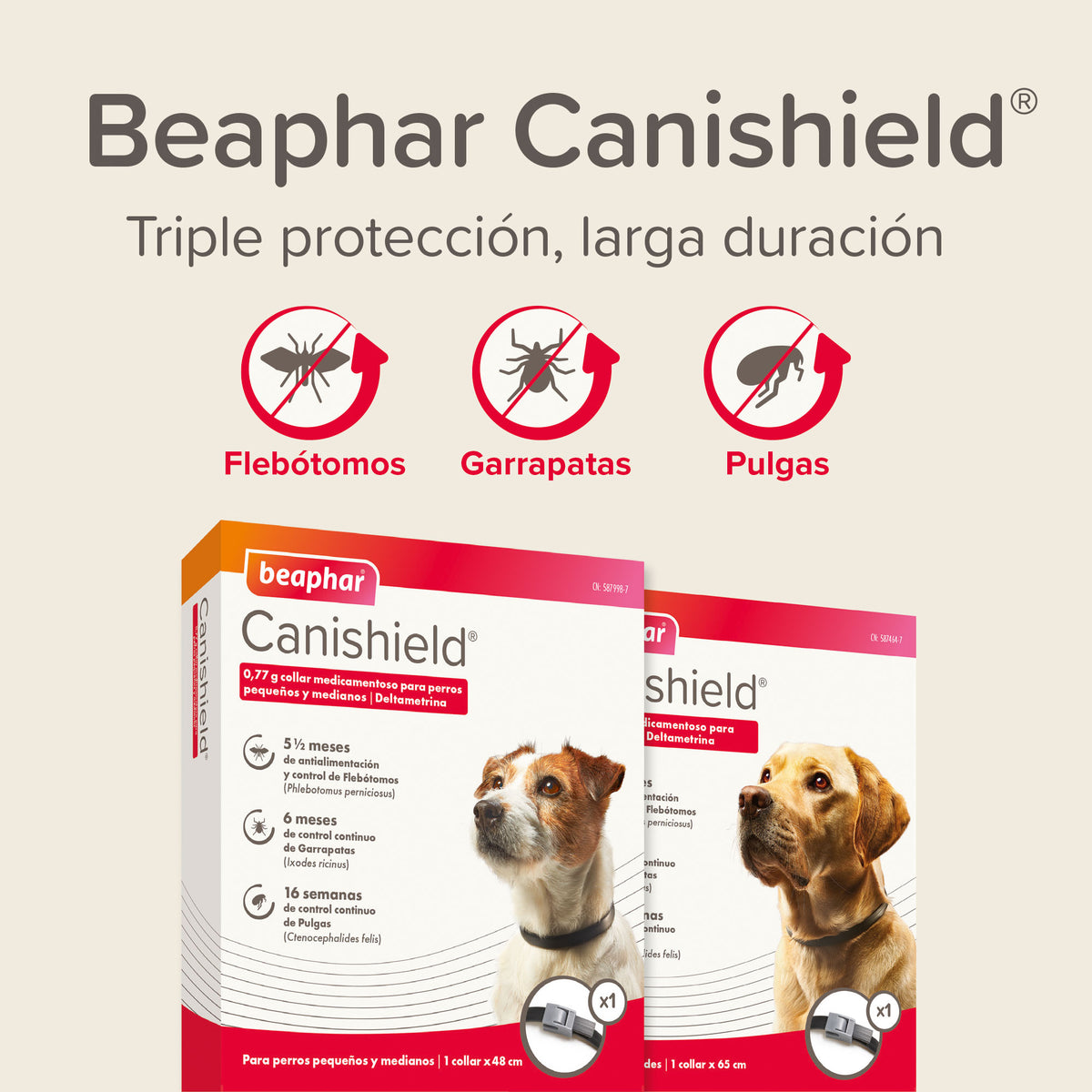 Beaphar Collar Canishield Large Dog — imagen 6