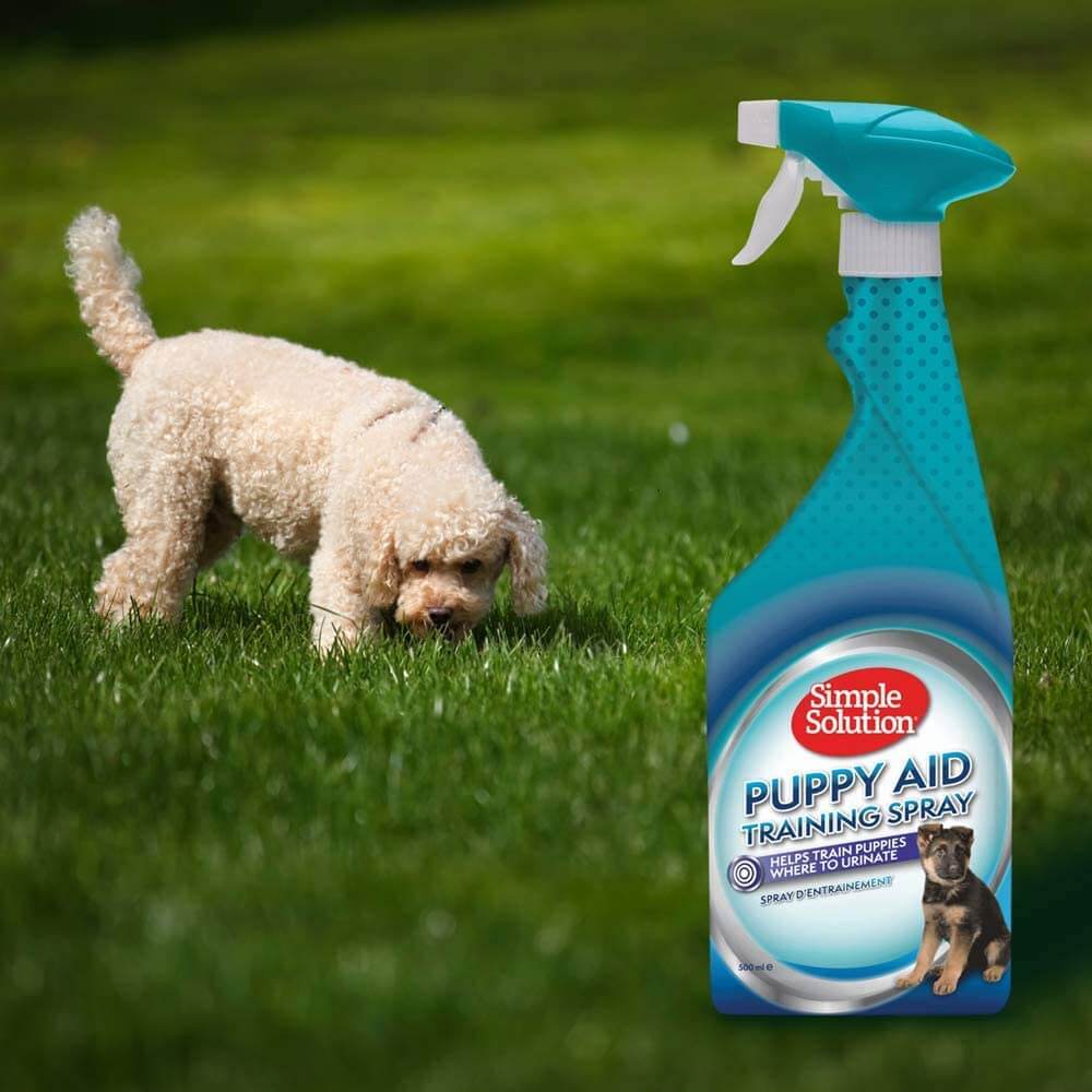 Simple Solution Puppy Training Aid — en uso 2