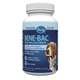 Pet-Ag | Bene-Bac 9 Powder
