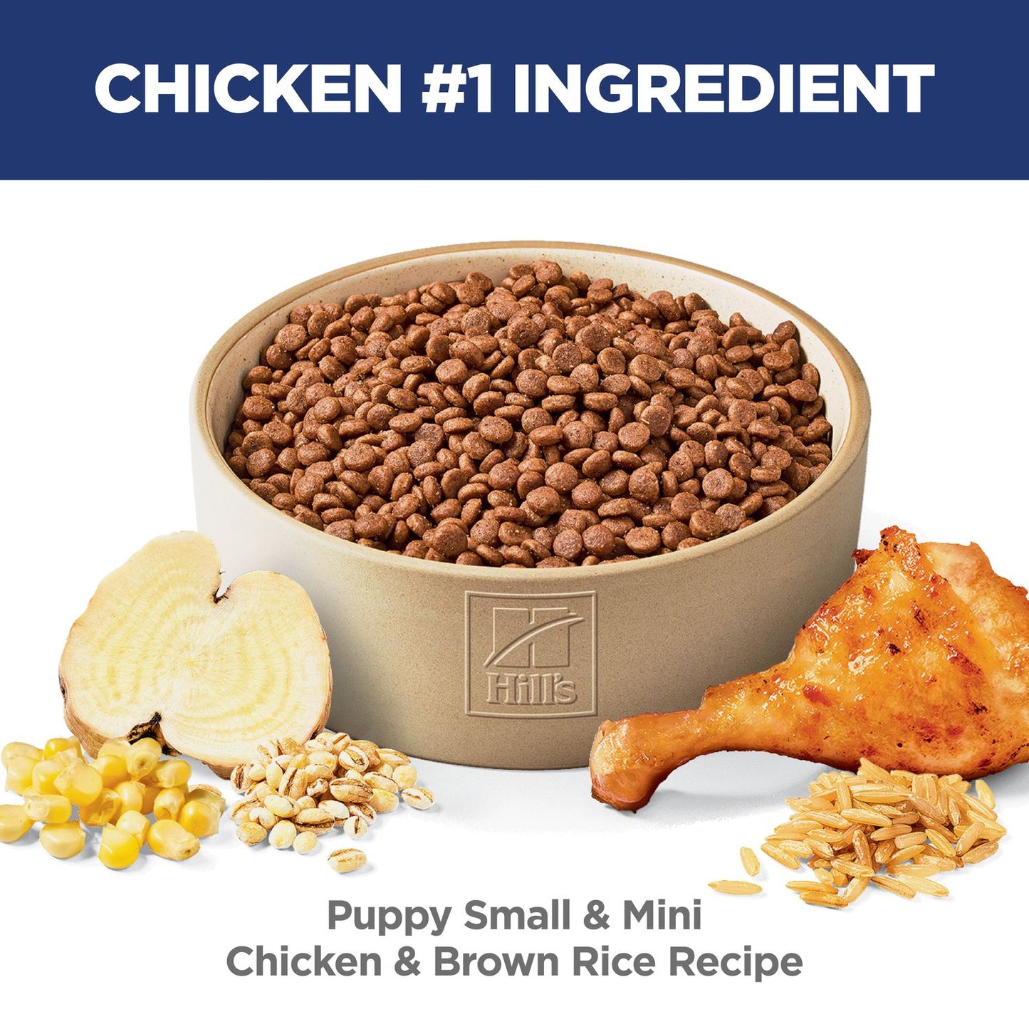 Hill's Science Diet | Alimento seco para perros cachorros de razas pequeñas y miniatura Puppy Small & Mini. Receta de pollo, cebada y arroz integral