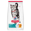 Hill's Science Diet | Alimento húmedo para gatos adultos Indoor. Receta de pescado de mar (Pack de 6 latas de 156 g)