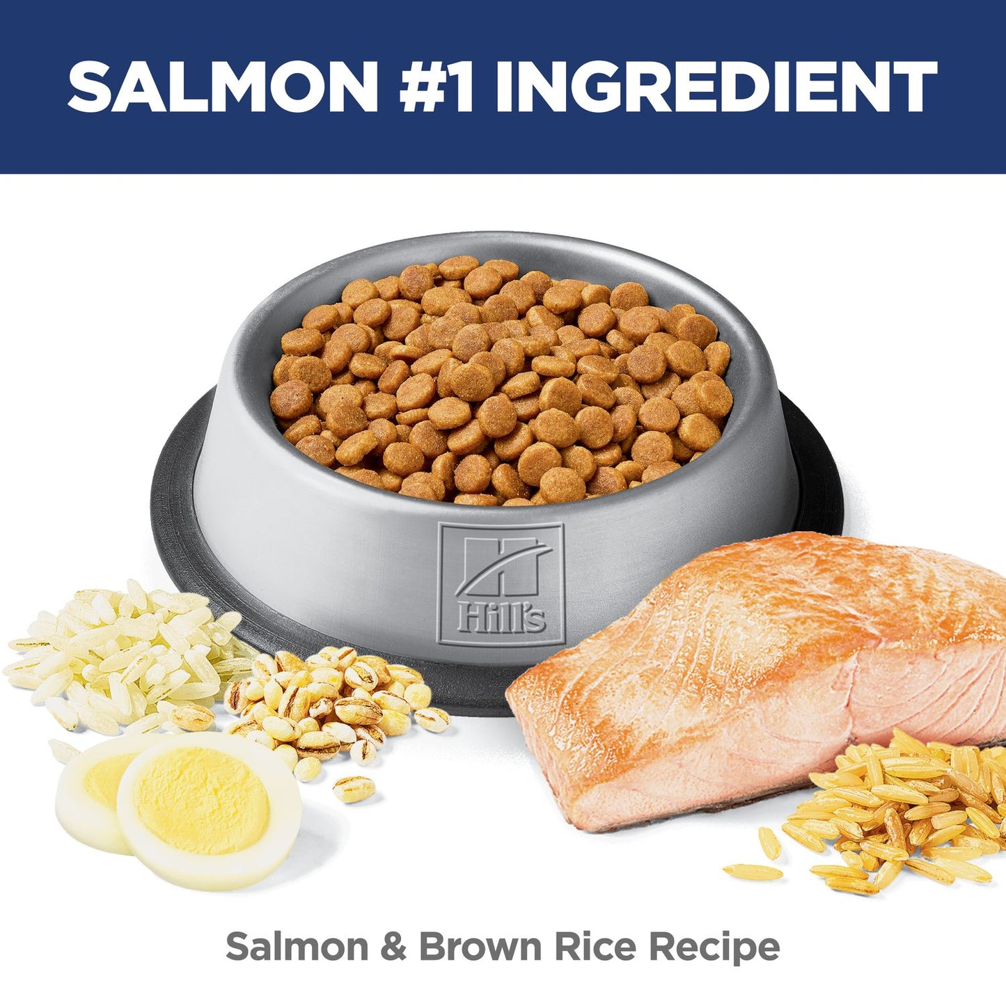 Hill's Science Diet | Alimento seco para gatos adultos Adult Sensitive Stomach & Skin. Receta de pollo