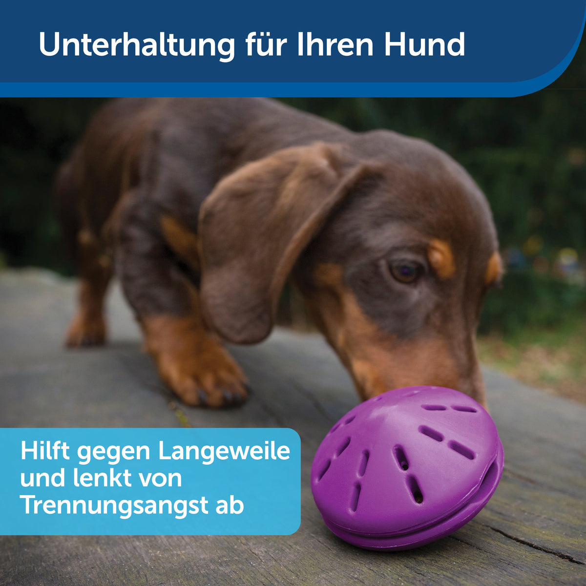 Spielzeug Busy Buddy® Twist 'n Treat™