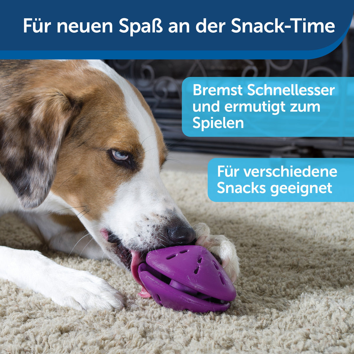 Spielzeug Busy Buddy® Twist 'n Treat™