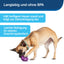 Spielzeug Busy Buddy® Twist 'n Treat™