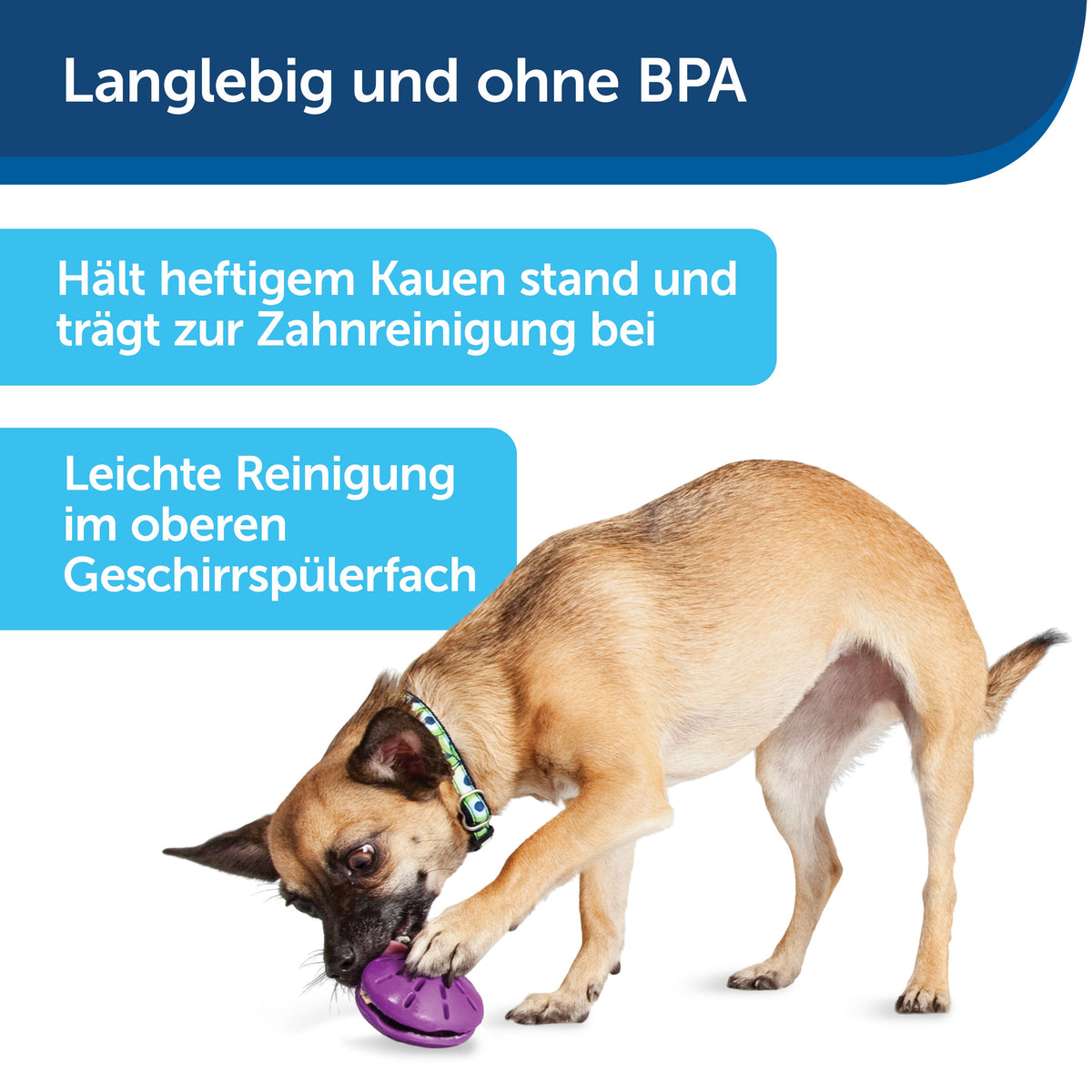 Spielzeug Busy Buddy® Twist 'n Treat™