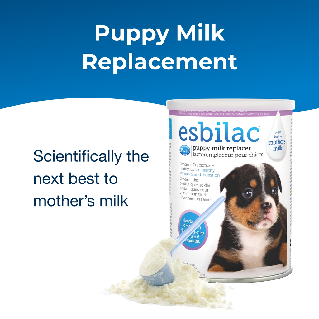 PetAg Esbilac Powder — detalle 2