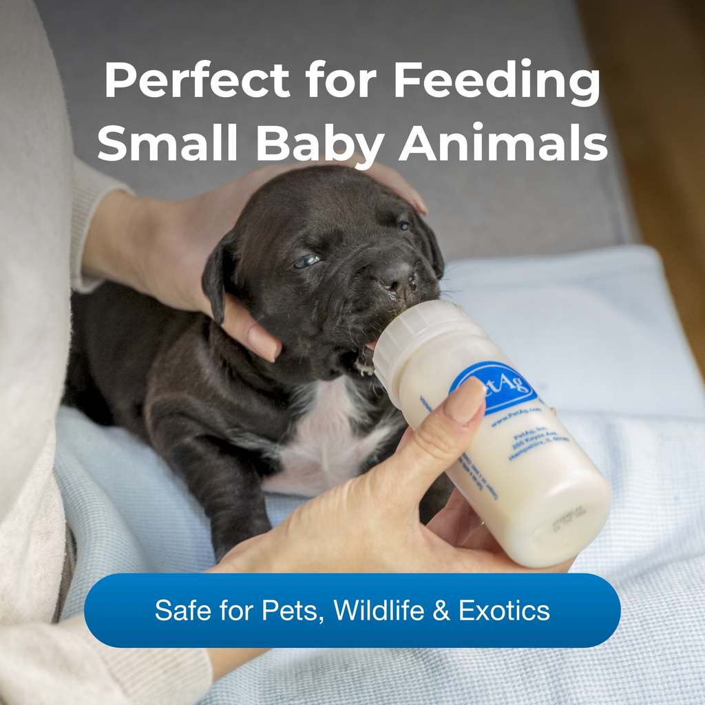 PetAg Nurser Bottle — detalle 2