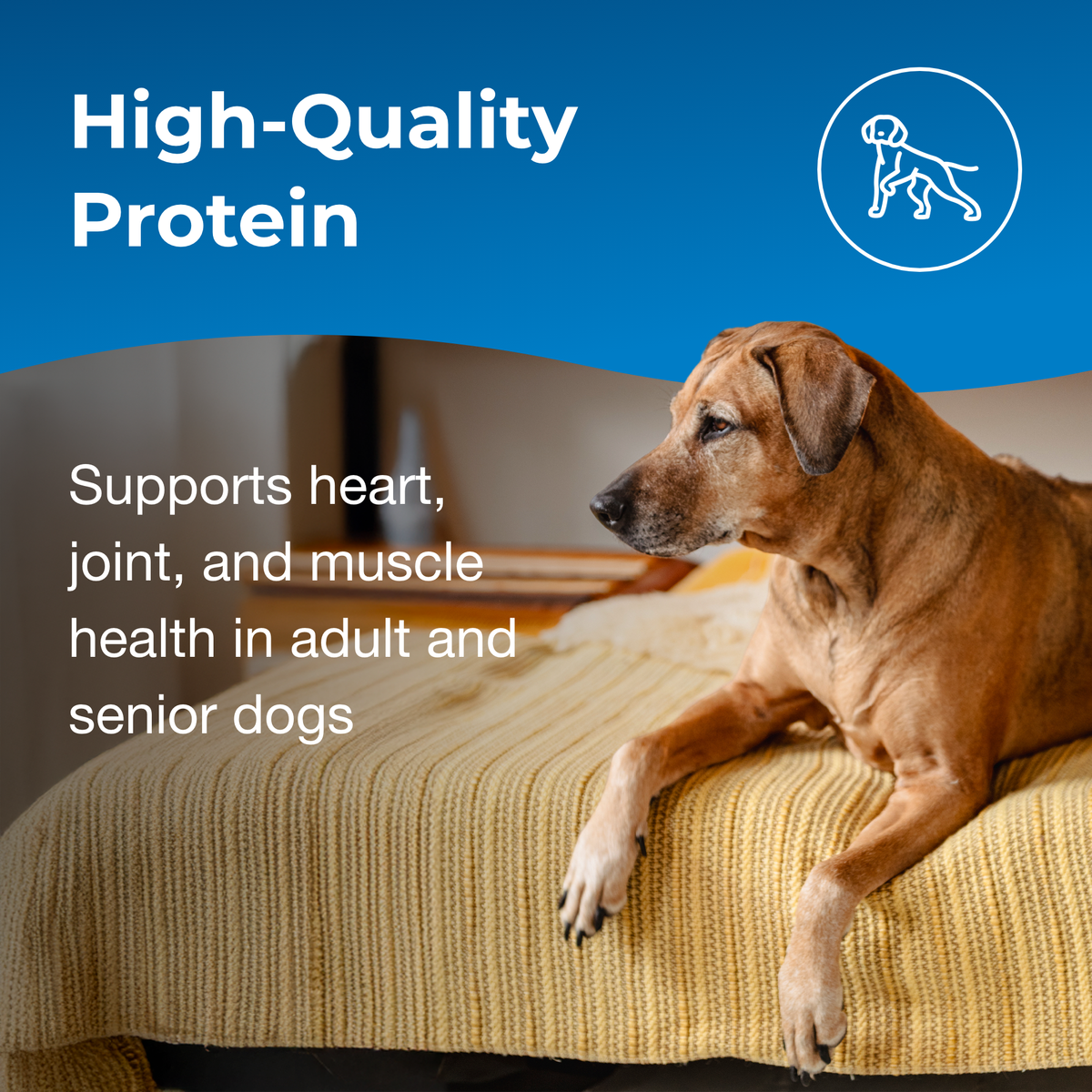 Esbilac® Healthy Aging - información oficial 5