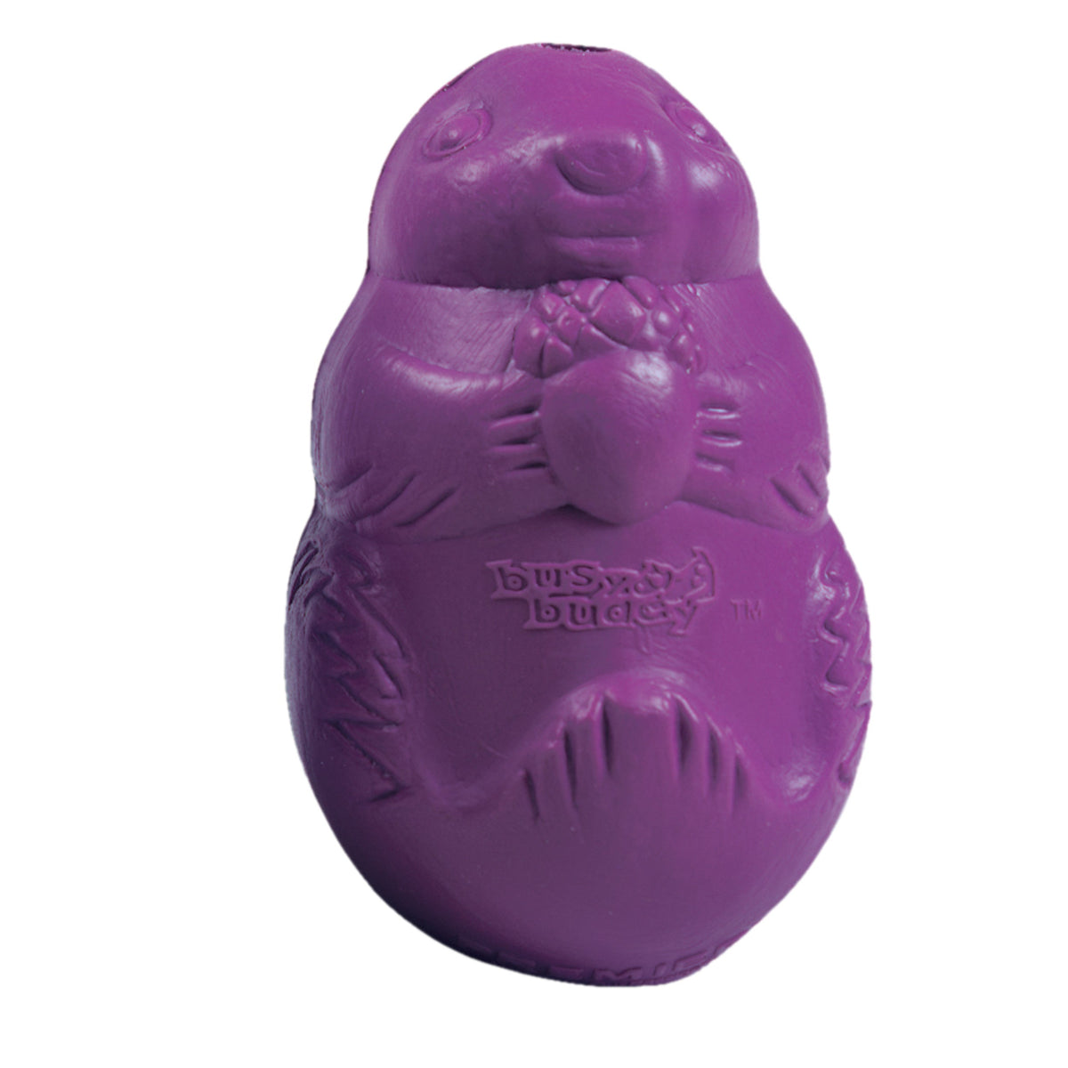 Busy Buddy® Squirrel Dude™