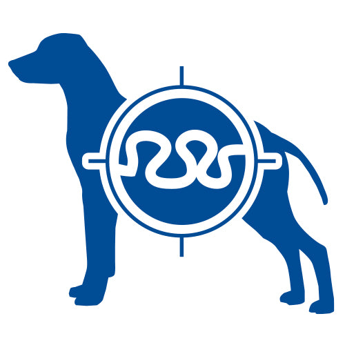 Monge | Alimento húmedo para perros adultos Monoprotein. Pavo