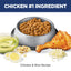 Hill's Science Diet | Alimento seco para gatos adultos Adult Sensitive Stomach & Skin. Receta de pollo