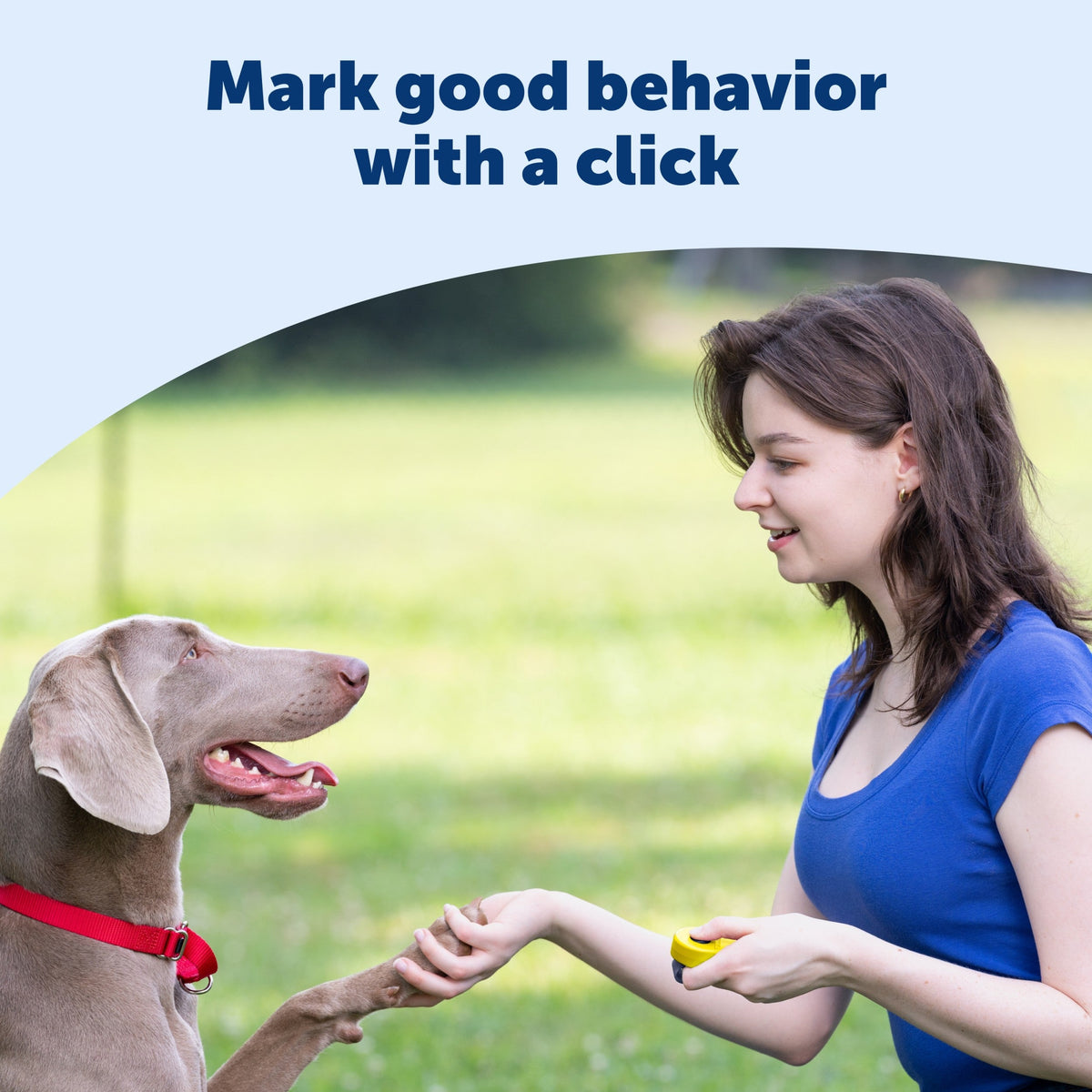 Clik-R™ Training Tool