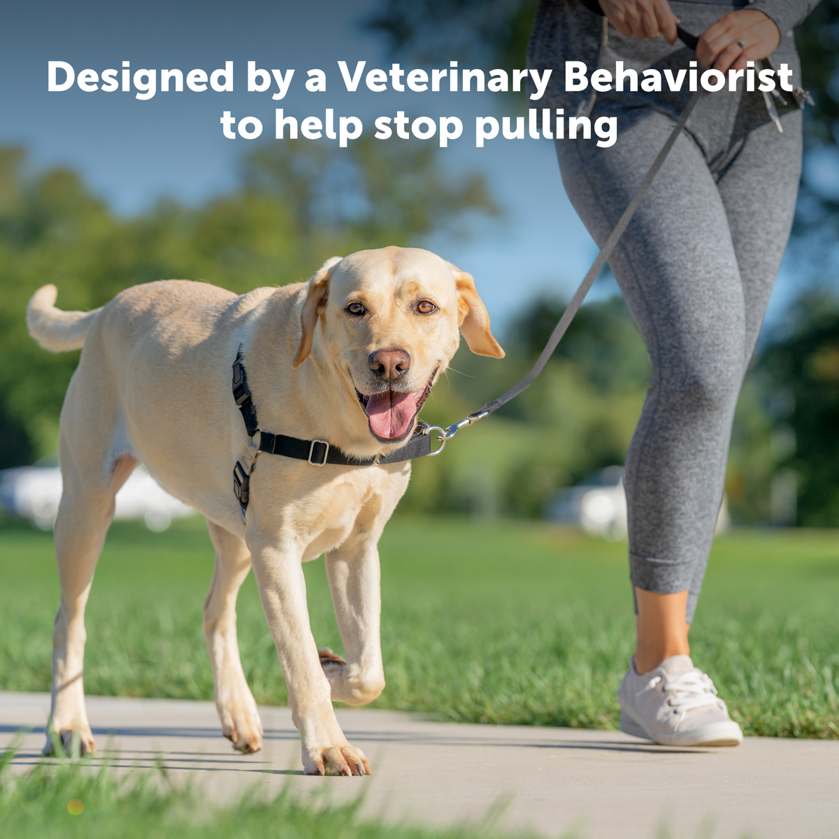 Easy Walk® Harness, No Pull Dog Harness