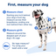 Easy Walk® Harness, No Pull Dog Harness
