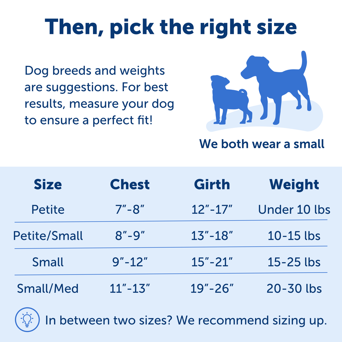 Easy Walk® Harness, No Pull Dog Harness