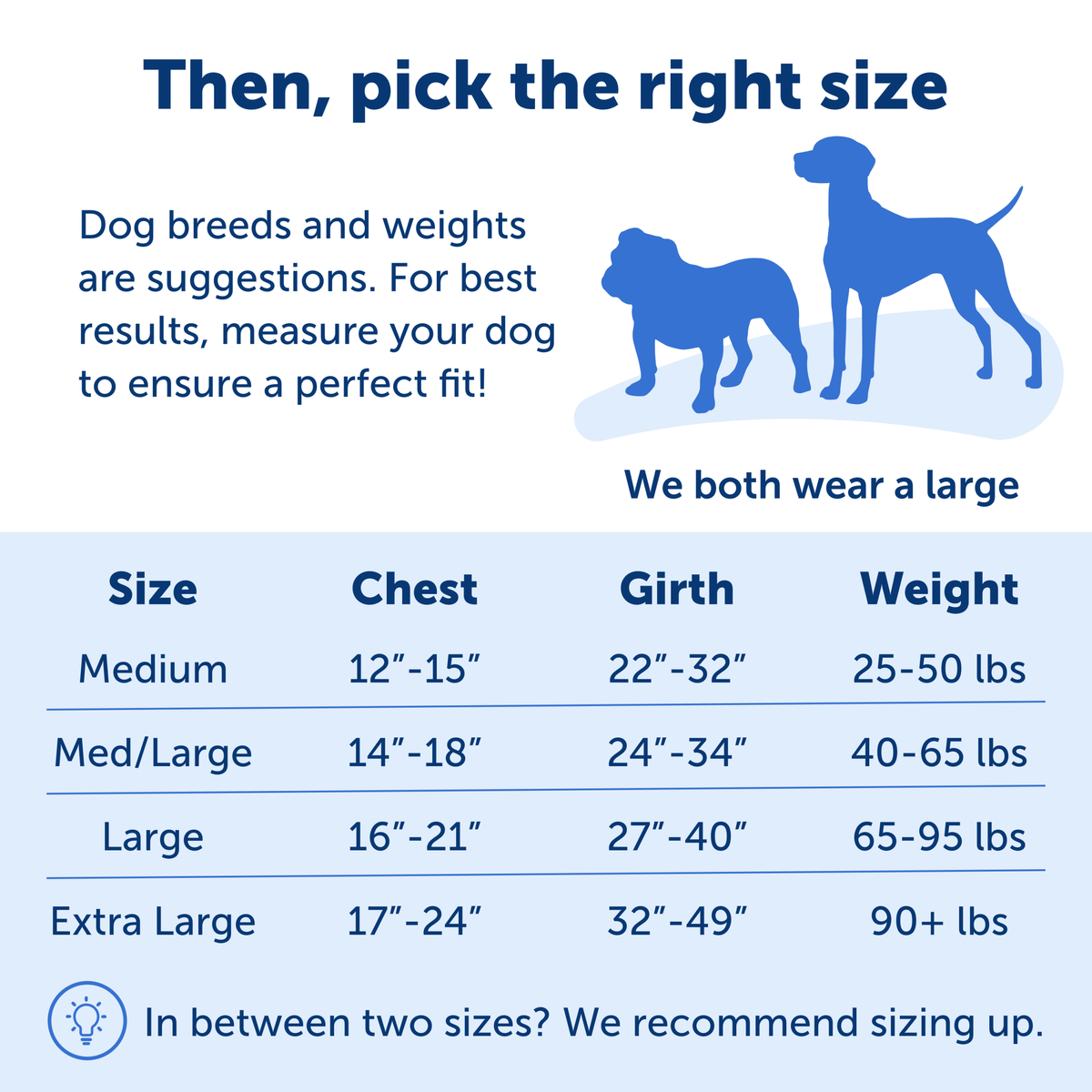 Easy Walk® Harness, No Pull Dog Harness