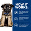 Hill's Prescription Diet | Alimento seco para perros cachorros Digestive Care i/d