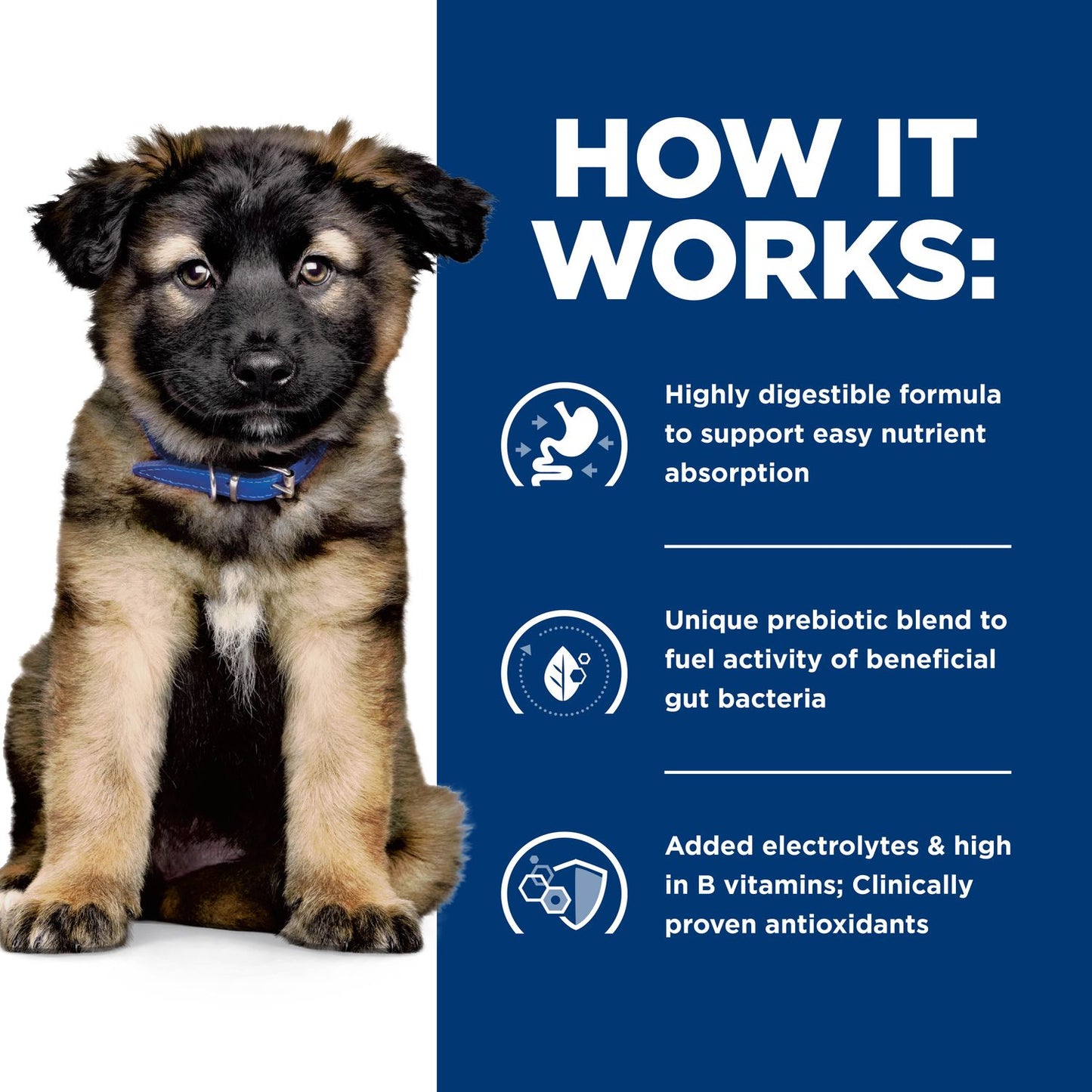 Hill's Prescription Diet | Alimento seco para perros cachorros Digestive Care i/d