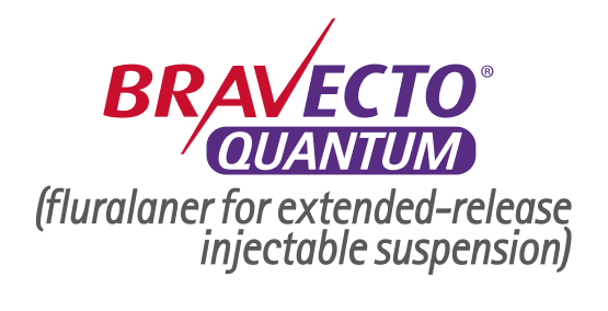 MSD | Bravecto 365