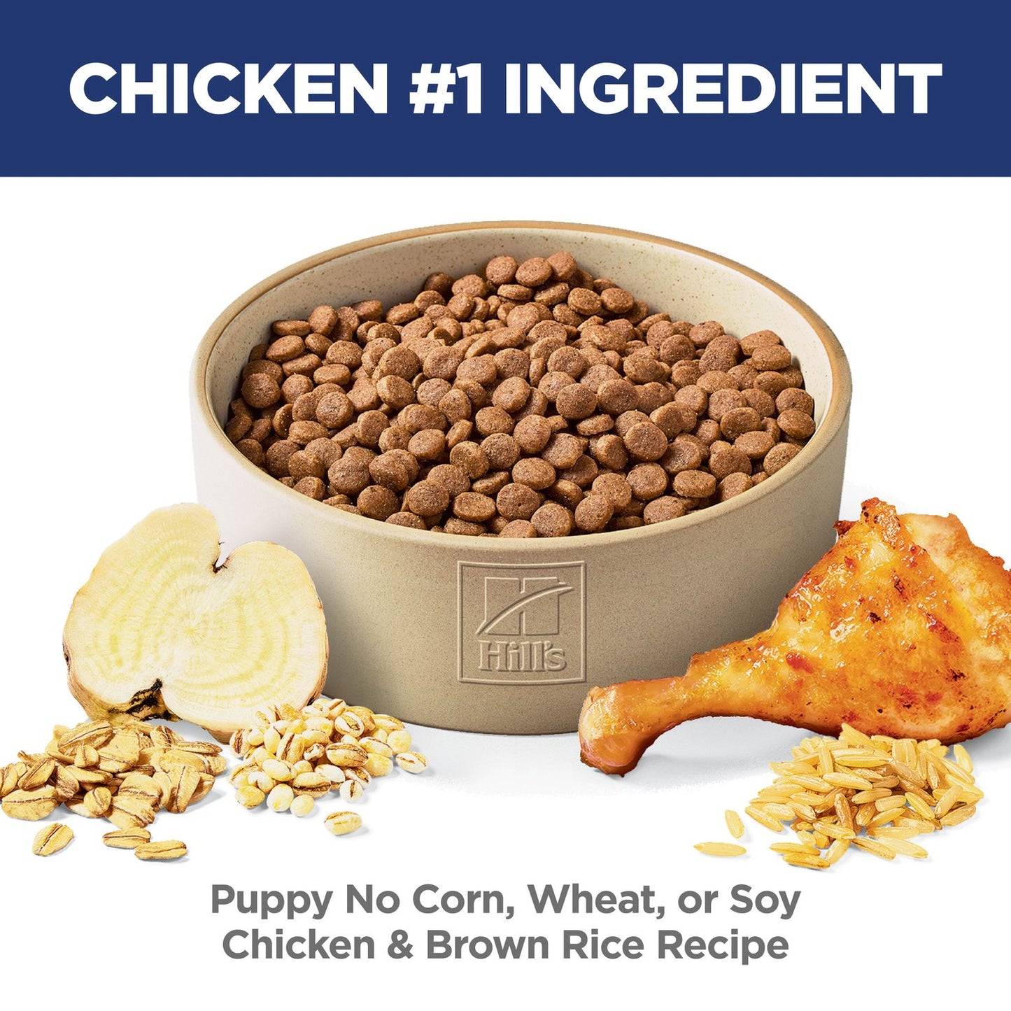 Hill's Science Diet | Alimento seco para perros cachorros Puppy. Receta de pollo y cebada.