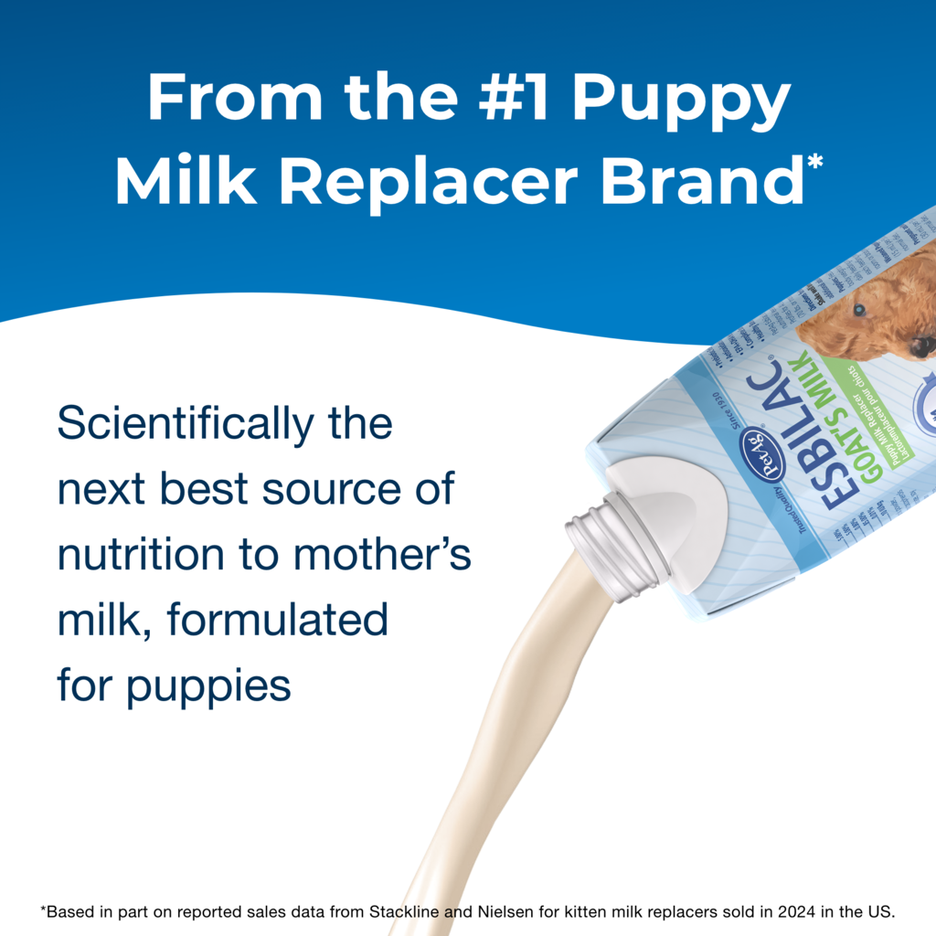 PetAg Goat's Milk Esbilac Liquid — marca n.º 1