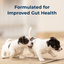 PetAg Goat's Milk Esbilac Liquid — salud digestiva