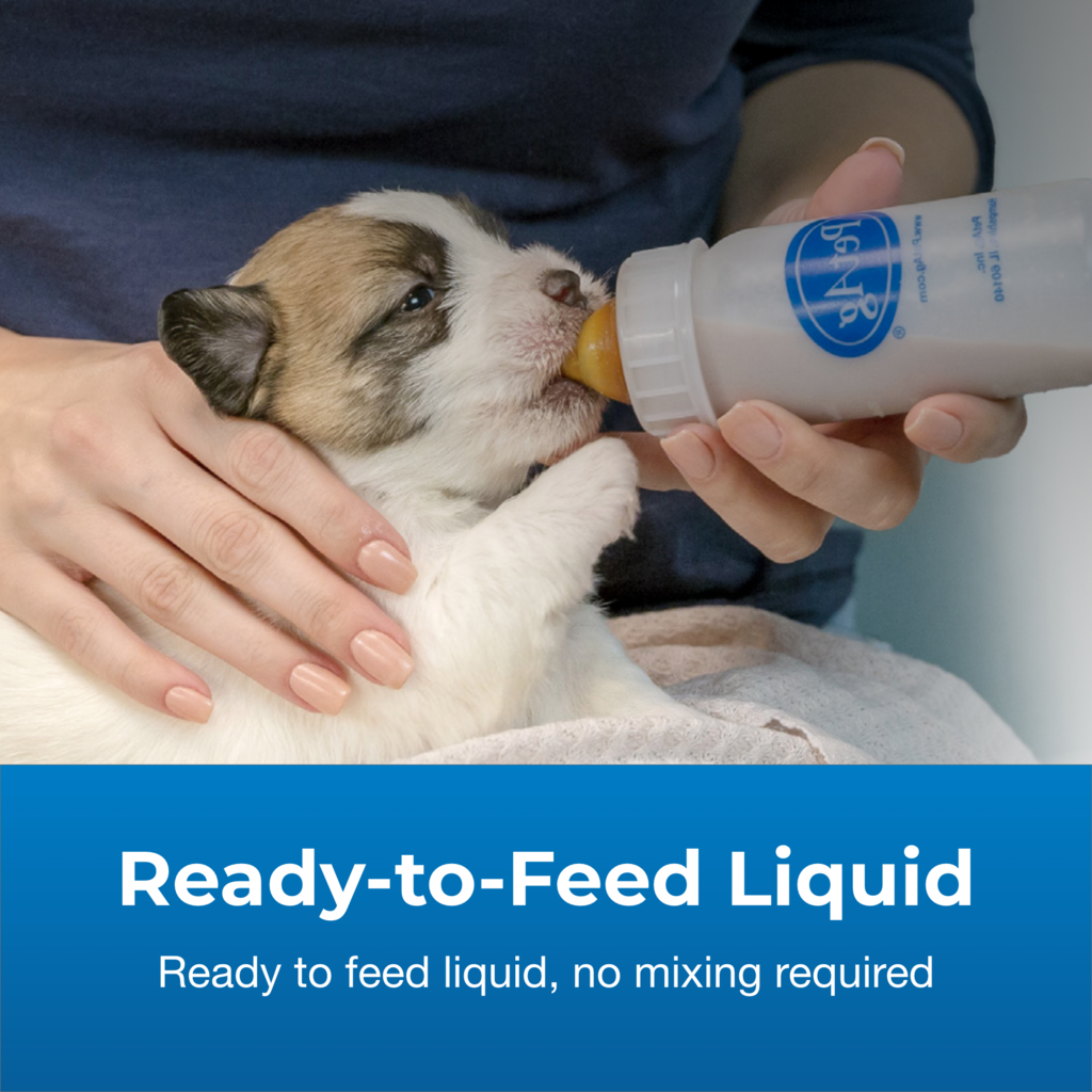 PetAg Goat's Milk Esbilac Liquid — listo para servir