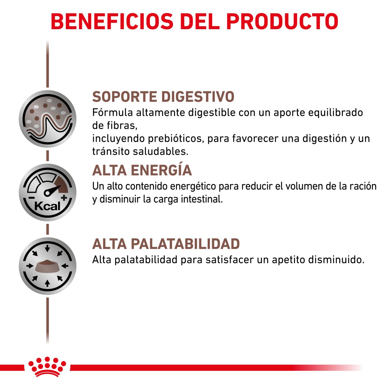 ROYAL CANIN | Alimento húmedo para perros Gastrointestinal (Pack de 12 latas de 400g)