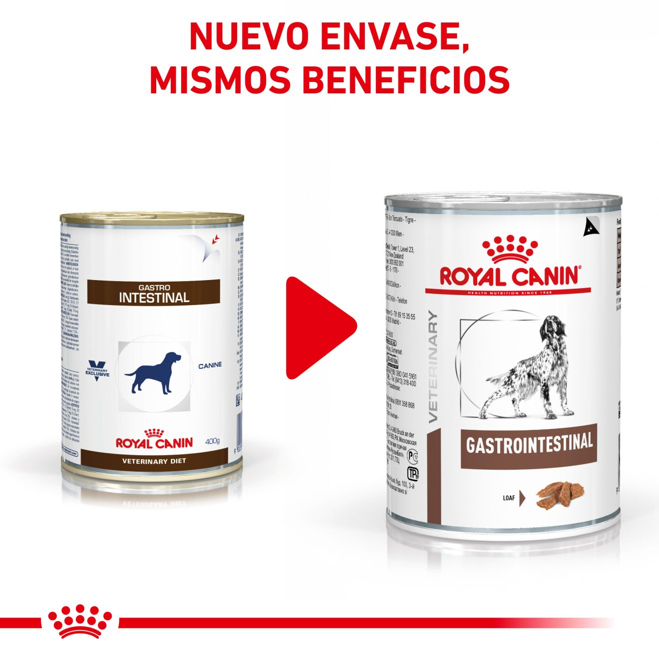 ROYAL CANIN | Alimento húmedo para perros Gastrointestinal (Pack de 12 latas de 400g)